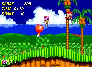 Amy Rose in Sonic 2